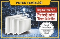 Ahmediye Petek Temizliği