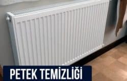 Güzeltepe Petek Temizliği