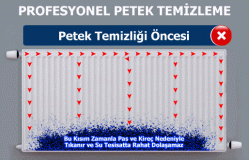 Küçük Çamlıca Petek Temizliği